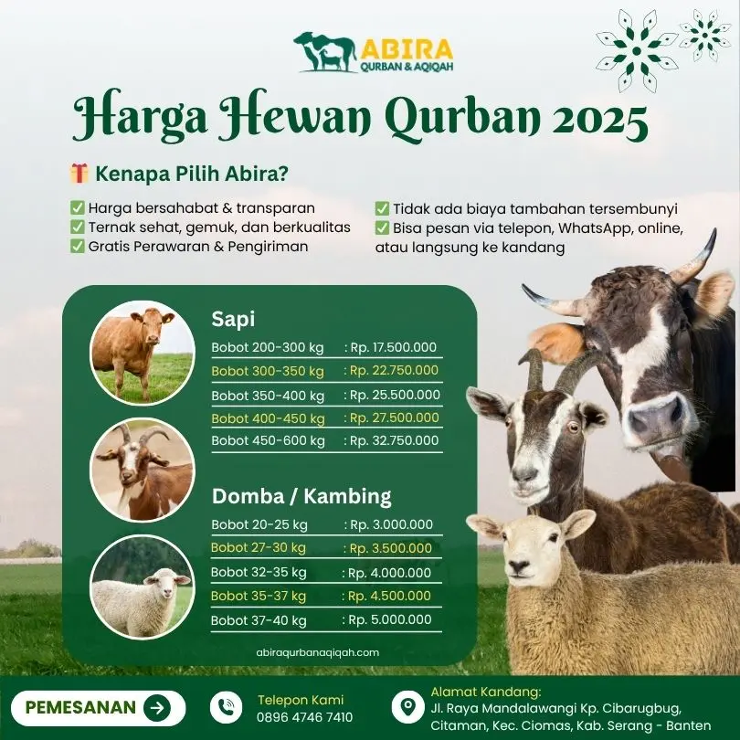 harga hewan qurban 2025 kota serang