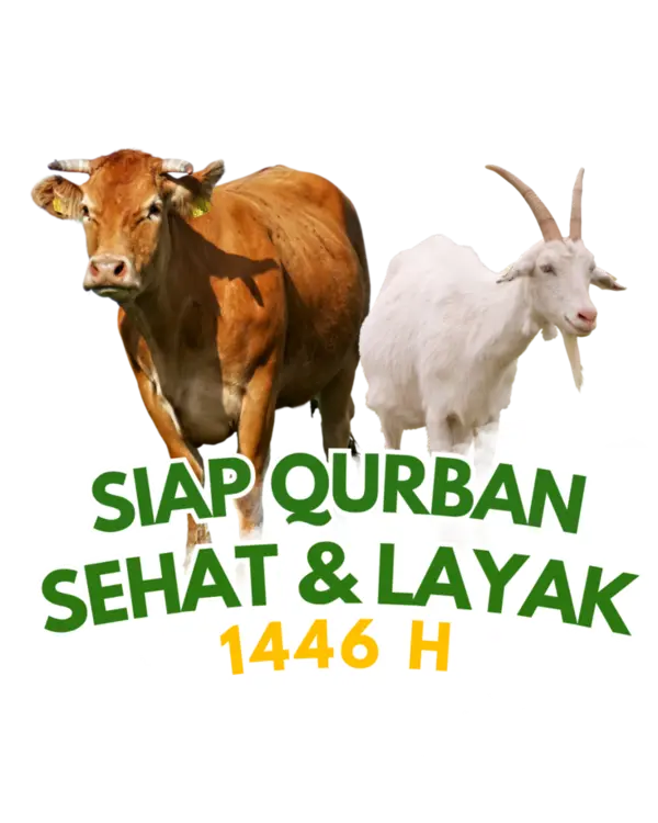 abira qurban aqiqah kota serang amanah sesuai syariah